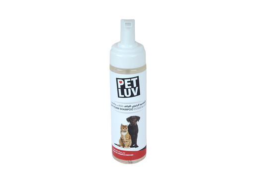 DRY FOAM SHAMPOO DOGS & CATS